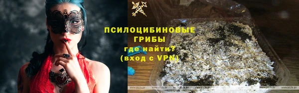 тгк Богданович