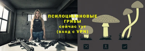 стаф Белокуриха