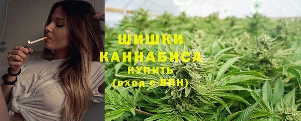 стаф Белокуриха