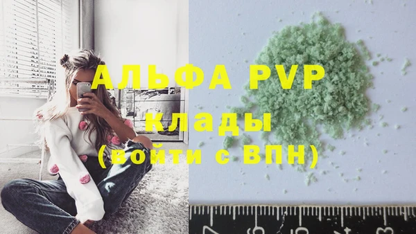 стаф Белокуриха